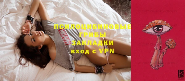 ПСИЛОЦИБИНОВЫЕ ГРИБЫ Корсаков