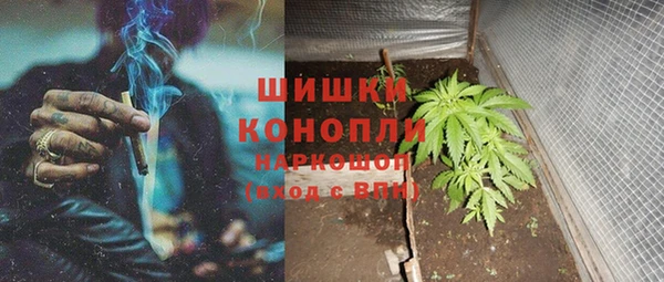 ПСИЛОЦИБИНОВЫЕ ГРИБЫ Корсаков