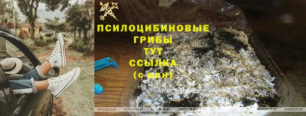 ПСИЛОЦИБИНОВЫЕ ГРИБЫ Корсаков