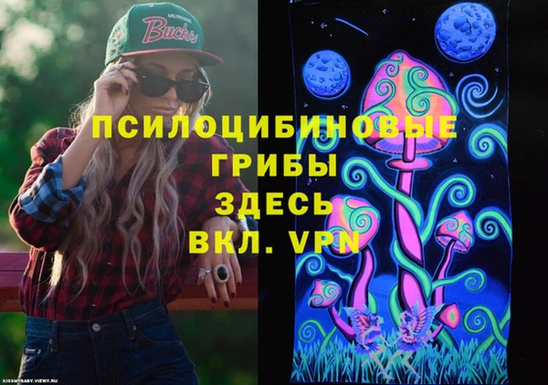 ПСИЛОЦИБИНОВЫЕ ГРИБЫ Корсаков