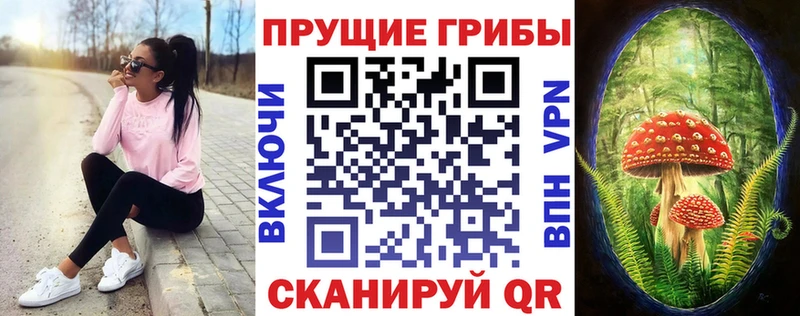 mega маркетплейс  нарко площадка какой сайт  Галлюциногенные грибы Psilocybine cubensis  Ессентукская 