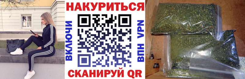 Бошки Шишки гибрид omg как войти Ессентукская закладка